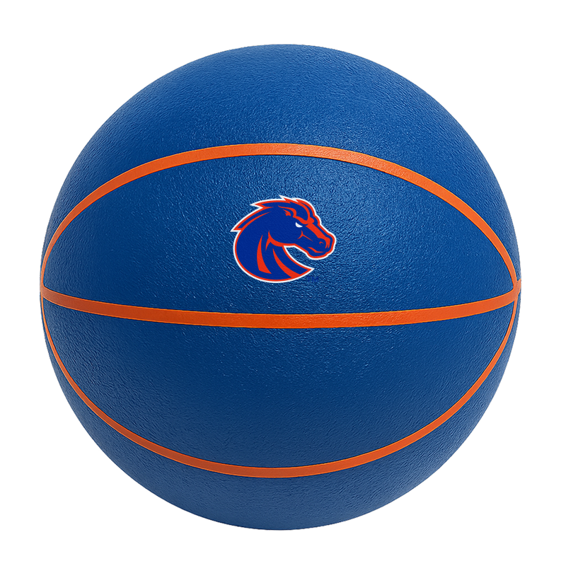 Color Splash QT BNZ BBall