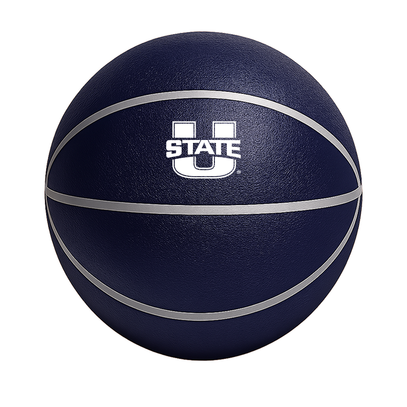 Color Splash QT BNZ BBall